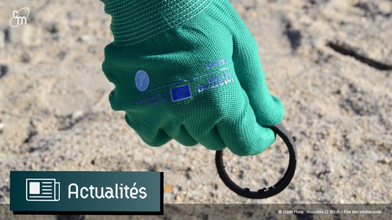 toulon,déchets,association